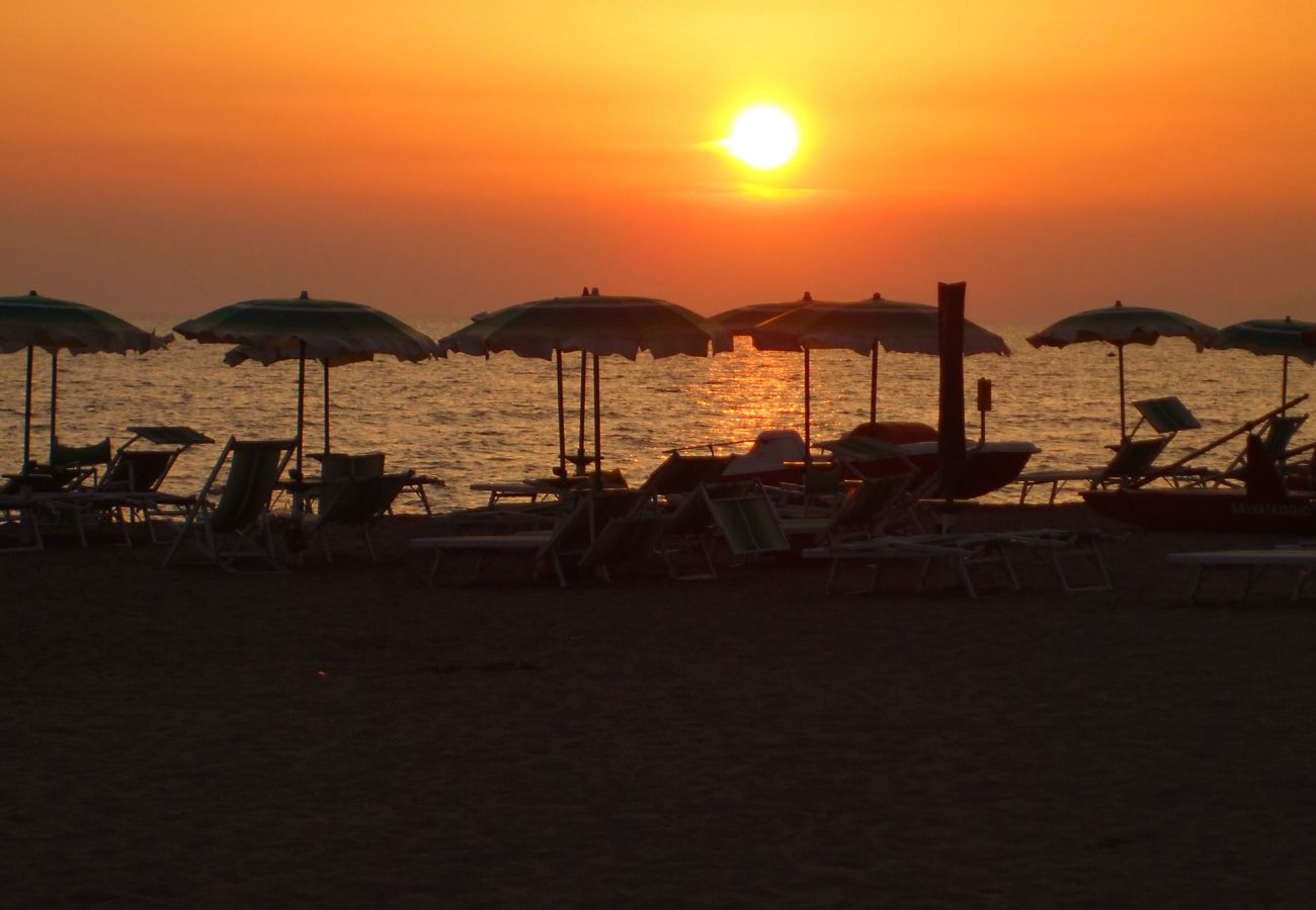 Chalet in Marina di Campo - Villetta le Palme