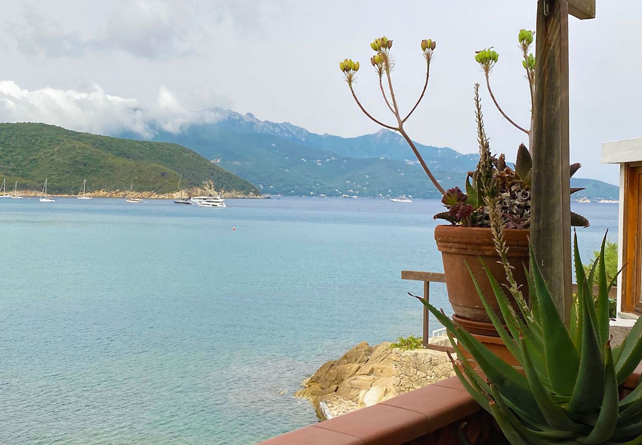 Ferienhaus in Portoferraio - Casa Scaglieri Isola d'Elba