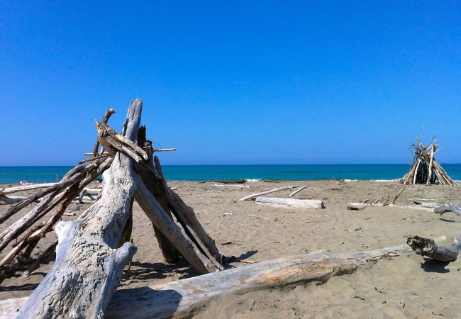 Ferienwohnung in Marina di Grosseto - Appartamento Oblò vicino alle spiagge Ferienwohnung in Marina di Grosseto - Appartamento Oblò vicino alle spiagge