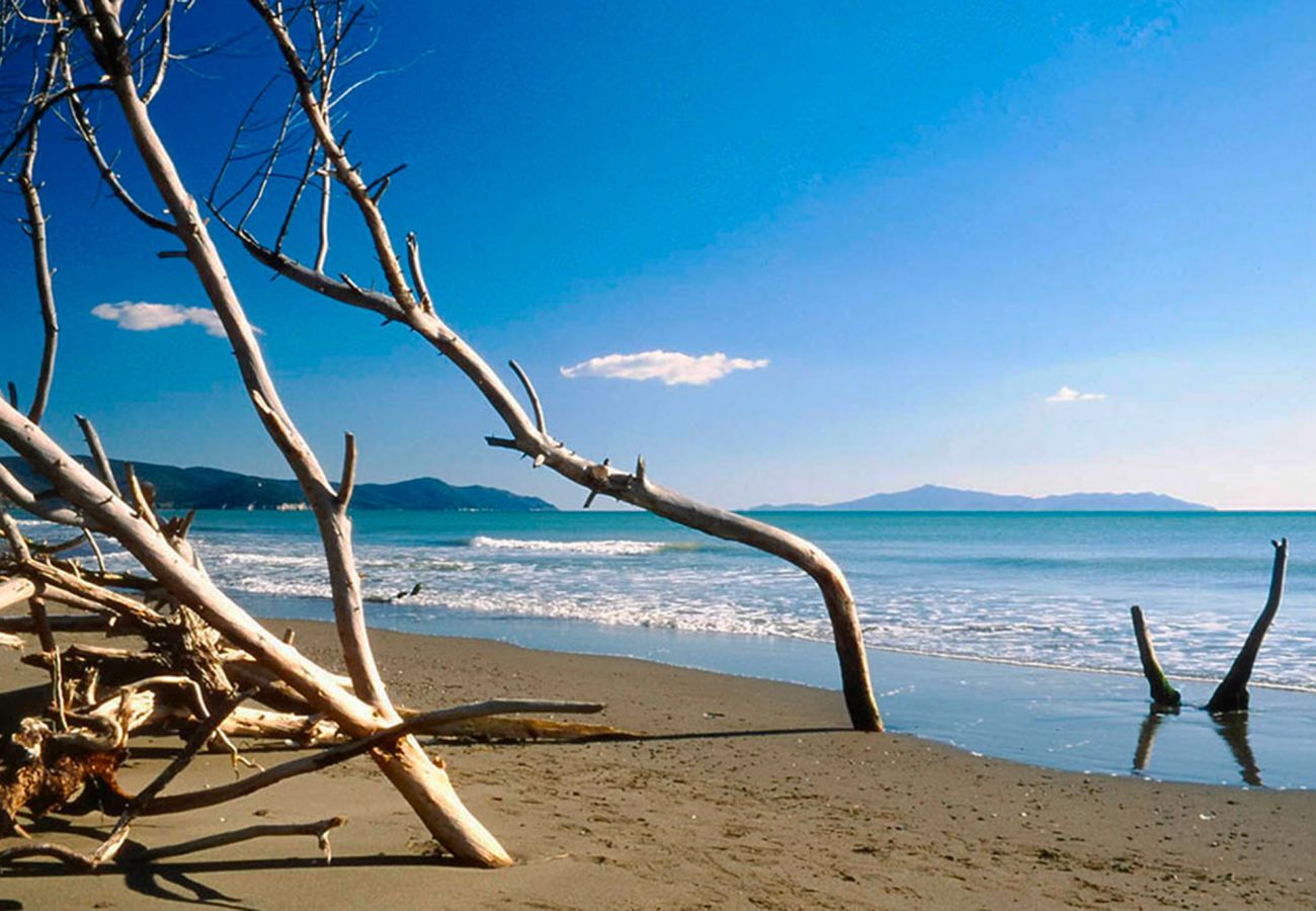 Chalet in Marina di Grosseto - Villino Azzurro