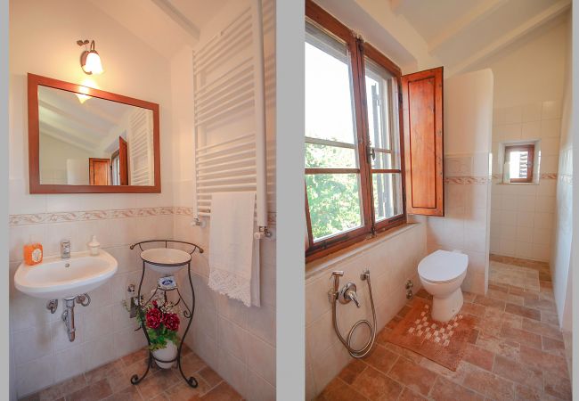 Ferienhaus in Scansano - Casa Barbara con vista panoramica Ferienhaus in Scansano - Casa Barbara con vista panoramica