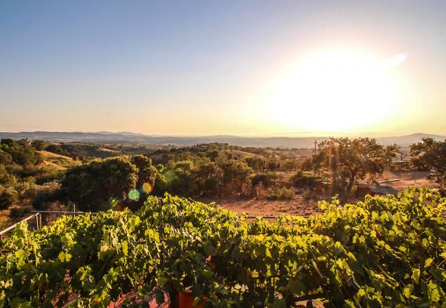 Ferienhaus in Scansano - Casa Barbara con vista panoramica Ferienhaus in Scansano - Casa Barbara con vista panoramica