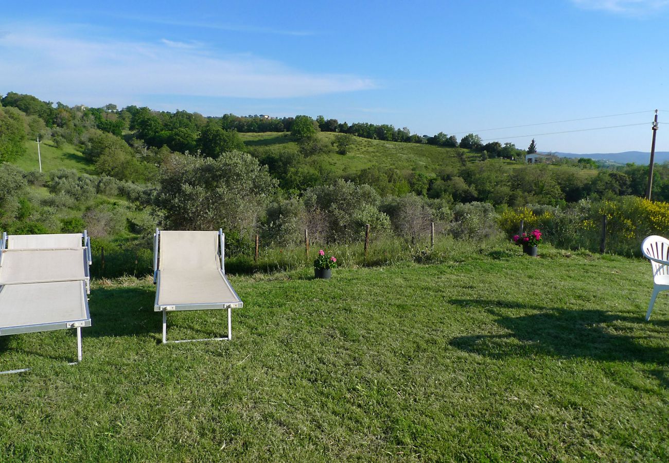 Ferienhaus in Scansano - Casa Barbara