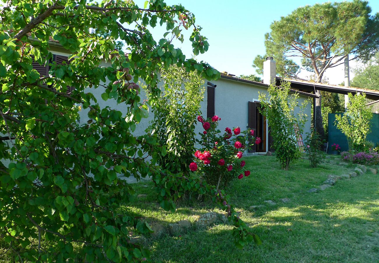 Ferienhaus in Scansano - Casa Barbara