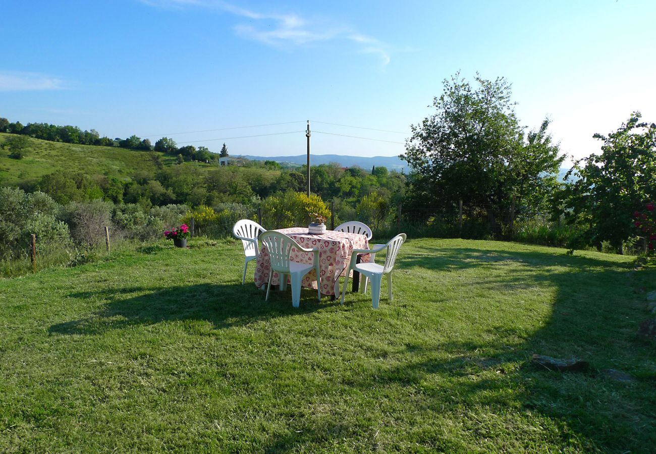 Ferienhaus in Scansano - Casa Barbara