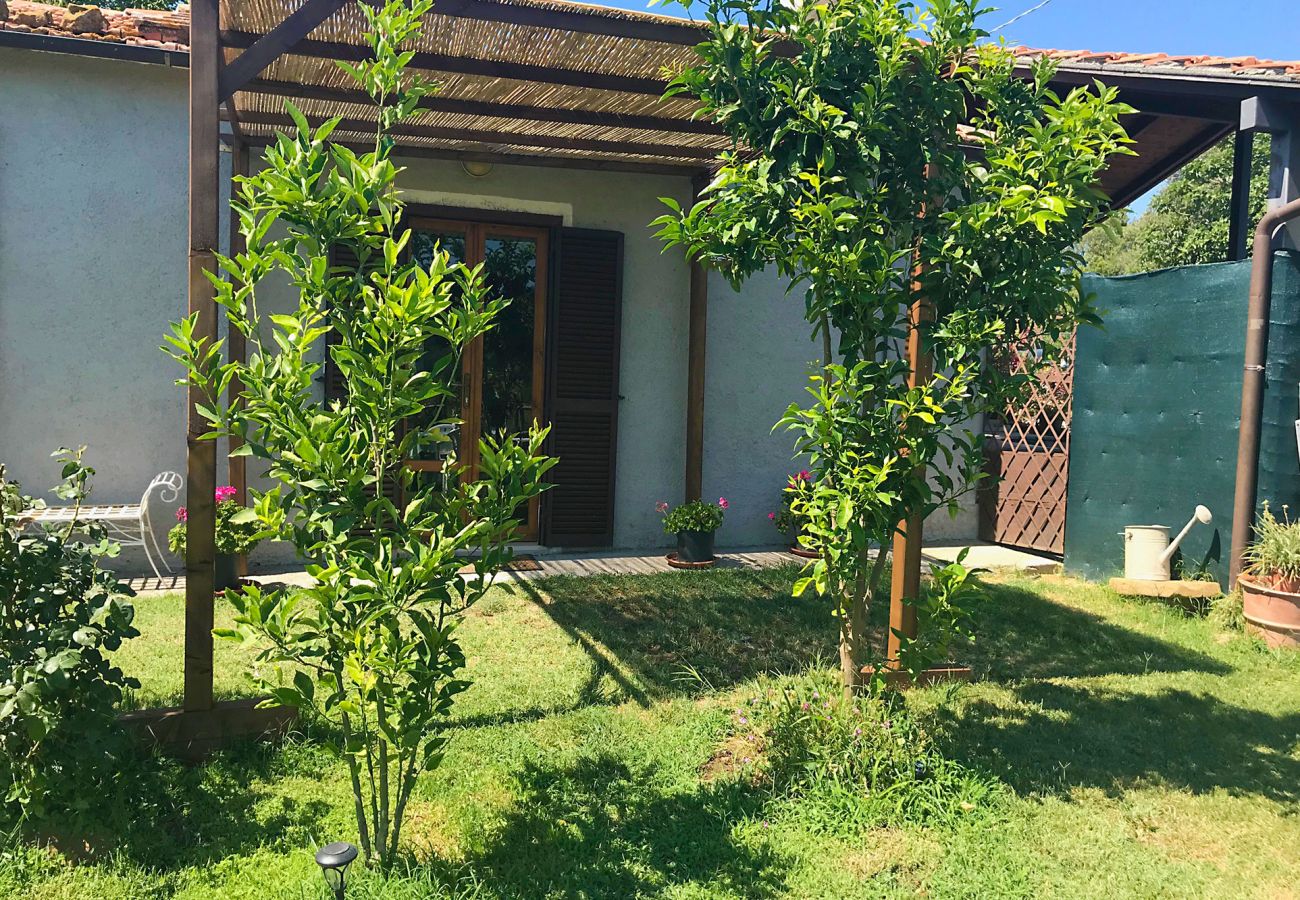 Ferienhaus in Scansano - Casa Barbara