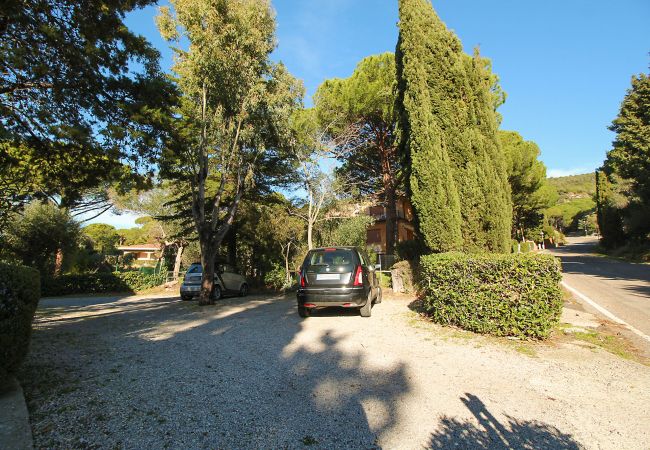 Ferienwohnung in Castiglione della Pescaia - Appartamento Le Cannucce al mare di Castiglione Ferienwohnung in Castiglione della Pescaia - Appartamento Le Cannucce al mare di Castiglione