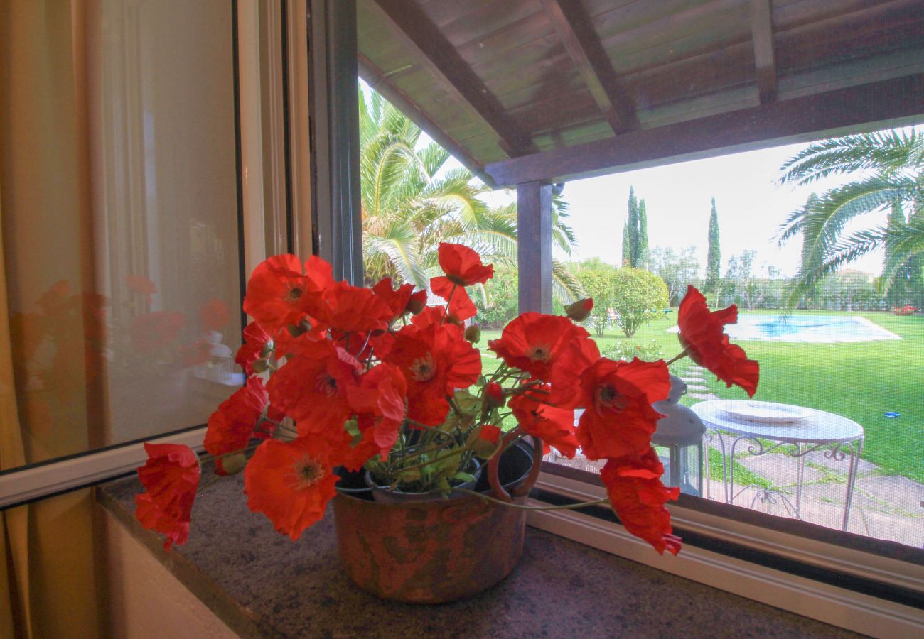Chalet in Principina Terra - Villetta l'Oasi