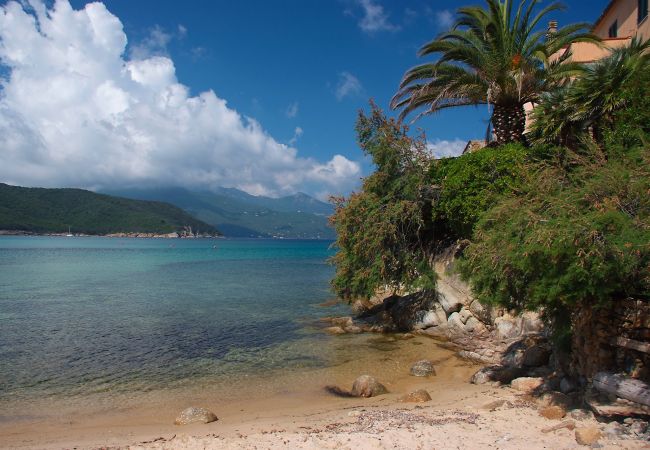 Ferienwohnung in Portoferraio - Appartamento Terrazza Isola d'Elba Ferienwohnung in Portoferraio - Appartamento Terrazza Isola d'Elba