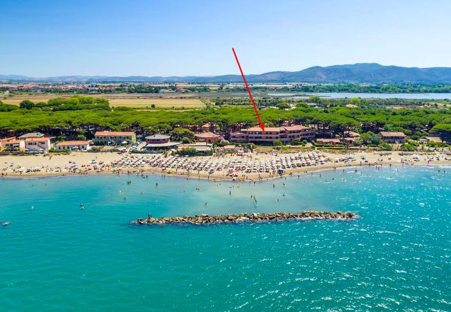 Ferienwohnung in Albinia - Appartamento Germoglio sulla Spiaggia Ferienwohnung in Albinia - Appartamento Germoglio sulla Spiaggia