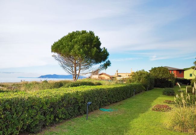 Ferienwohnung in Albinia - Appartamento Germoglio sulla Spiaggia Ferienwohnung in Albinia - Appartamento Germoglio sulla Spiaggia