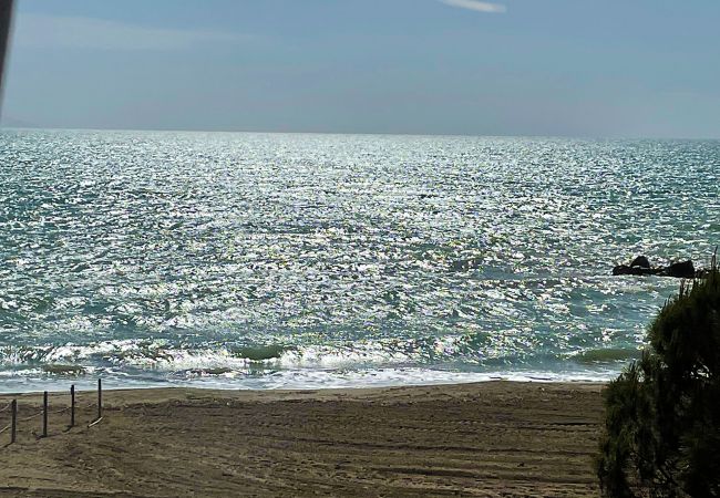 Ferienwohnung in Albinia - Appartamento La Ginestra sulla Spiaggia Ferienwohnung in Albinia - Appartamento La Ginestra sulla Spiaggia