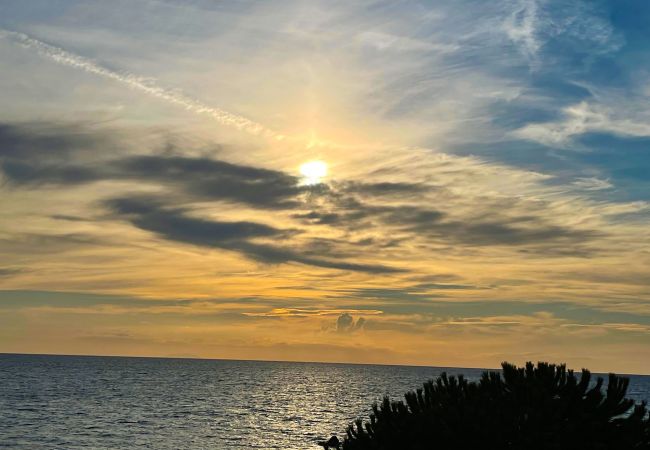 Ferienwohnung in Albinia - Appartamento La Ginestra sulla Spiaggia Ferienwohnung in Albinia - Appartamento La Ginestra sulla Spiaggia