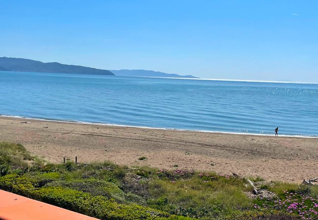 Ferienwohnung in Albinia - Appartamento La Ginestra sulla Spiaggia Ferienwohnung in Albinia - Appartamento La Ginestra sulla Spiaggia