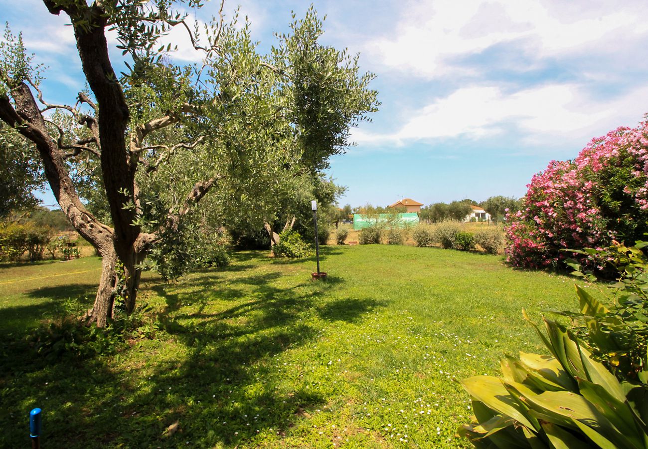 Chalet in Rispescia - Casa Allegra