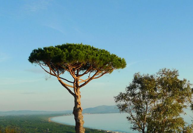 Castiglione della Pescaia - Ferienwohnung