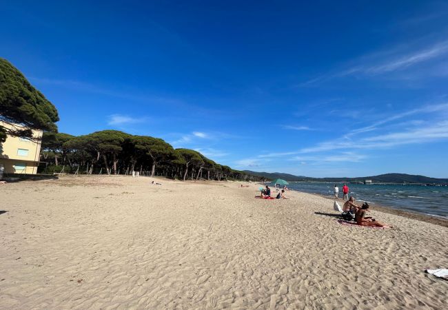 Ferienwohnung in Follonica - Appartamento Follonica 87