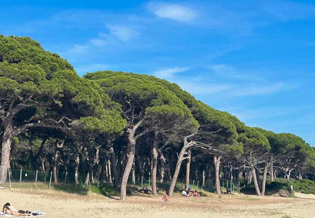 Ferienwohnung in Follonica - Appartamento Follonica 87