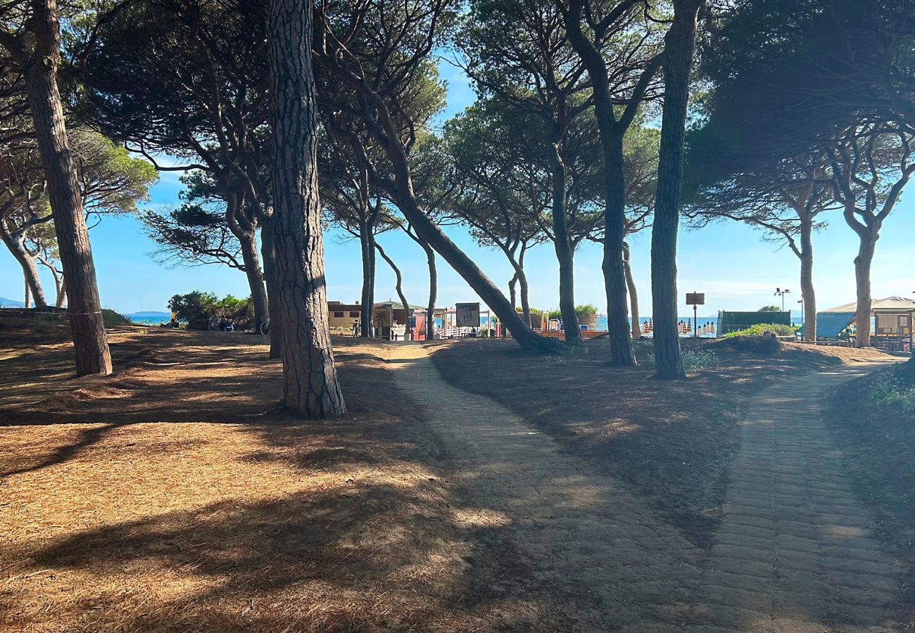 Ferienwohnung in Follonica - Appartamento Follonica 87
