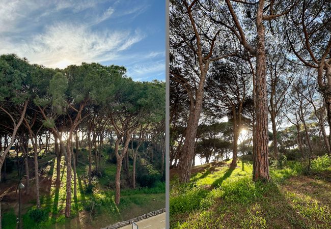 Ferienwohnung in Follonica - Appartamento Follonica 95 Ferienwohnung in Follonica - Appartamento Follonica 95