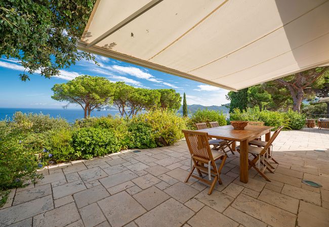 Villa in Procchio - Villa Ondina - Isola d'Elba