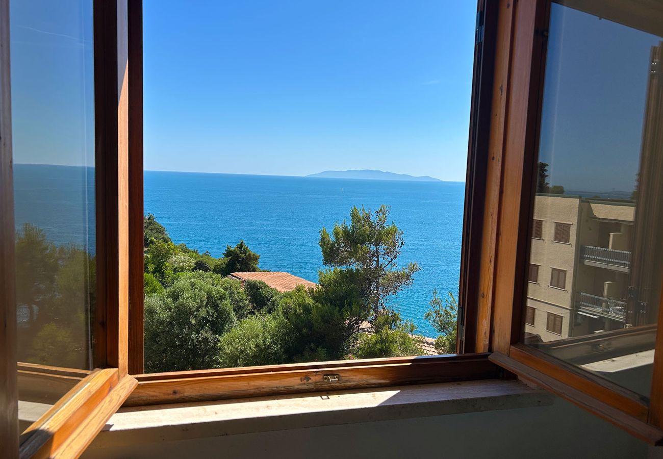 Ferienwohnung in Talamone - Appartamento Blue Sea
