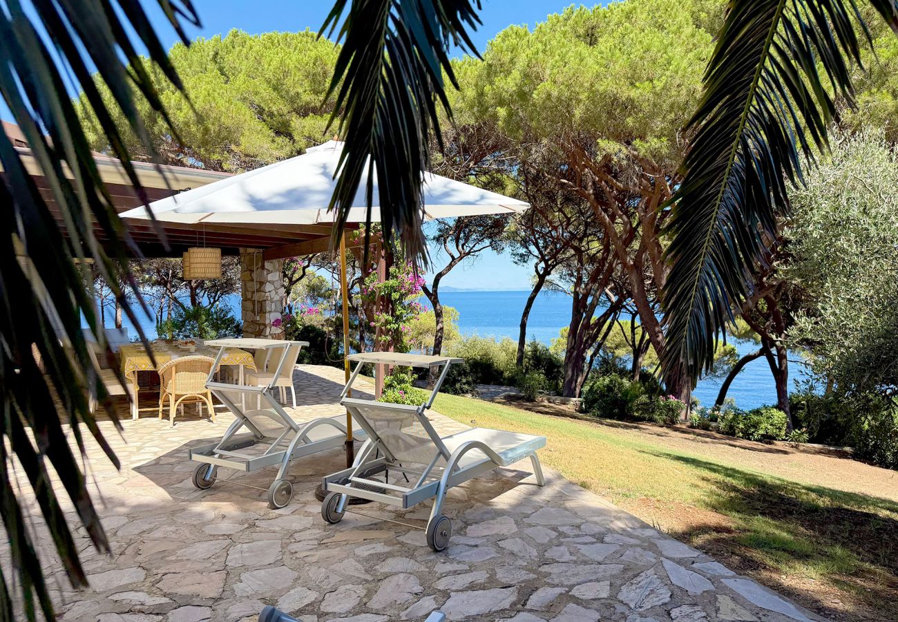 Villa in Porto Azzurro - Villa Star Isola d'Elba