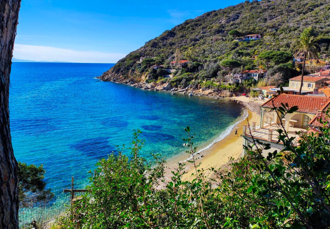 Ferienwohnung in Portoferraio - Appartamento Gabbiana Isola d'Elba