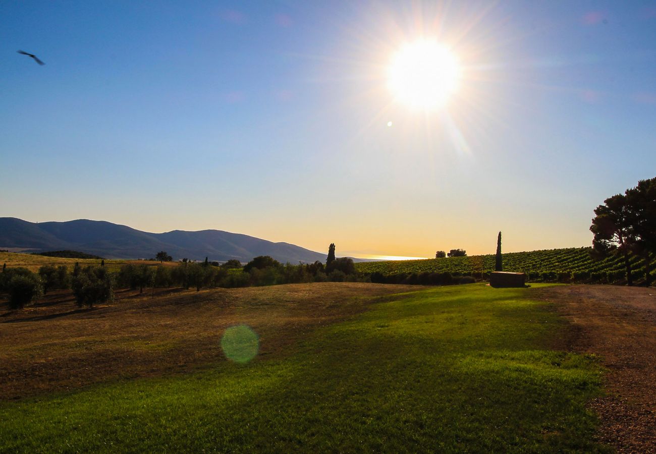 Ferienhaus in Magliano in Toscana - La Centurina mit Panoramablick