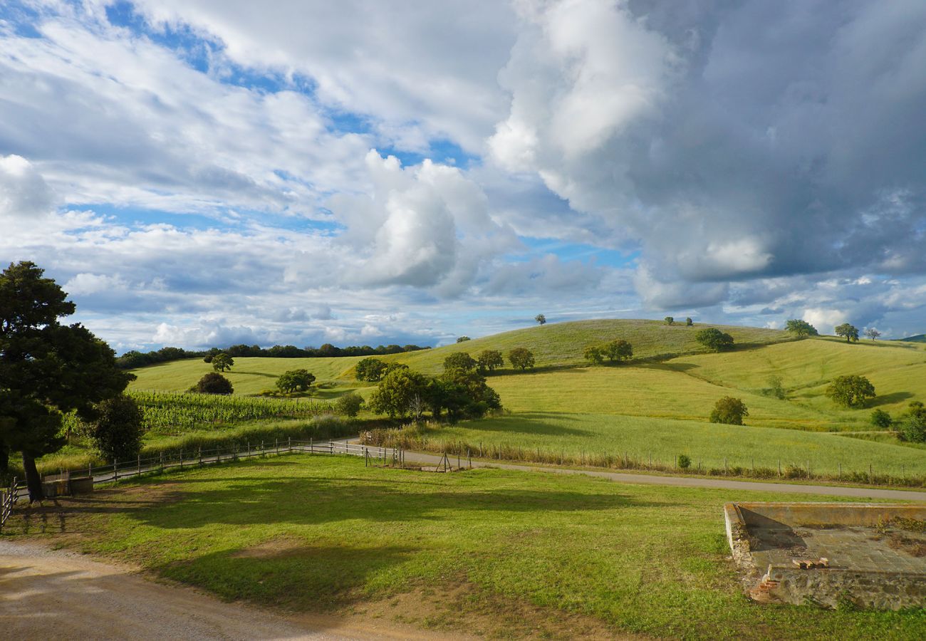 Ferienhaus in Magliano in Toscana - La Centurina mit Panoramablick