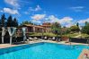 Ferienwohnung in Scansano - Wohnung Benefizio, Pool und Natur der Toskana