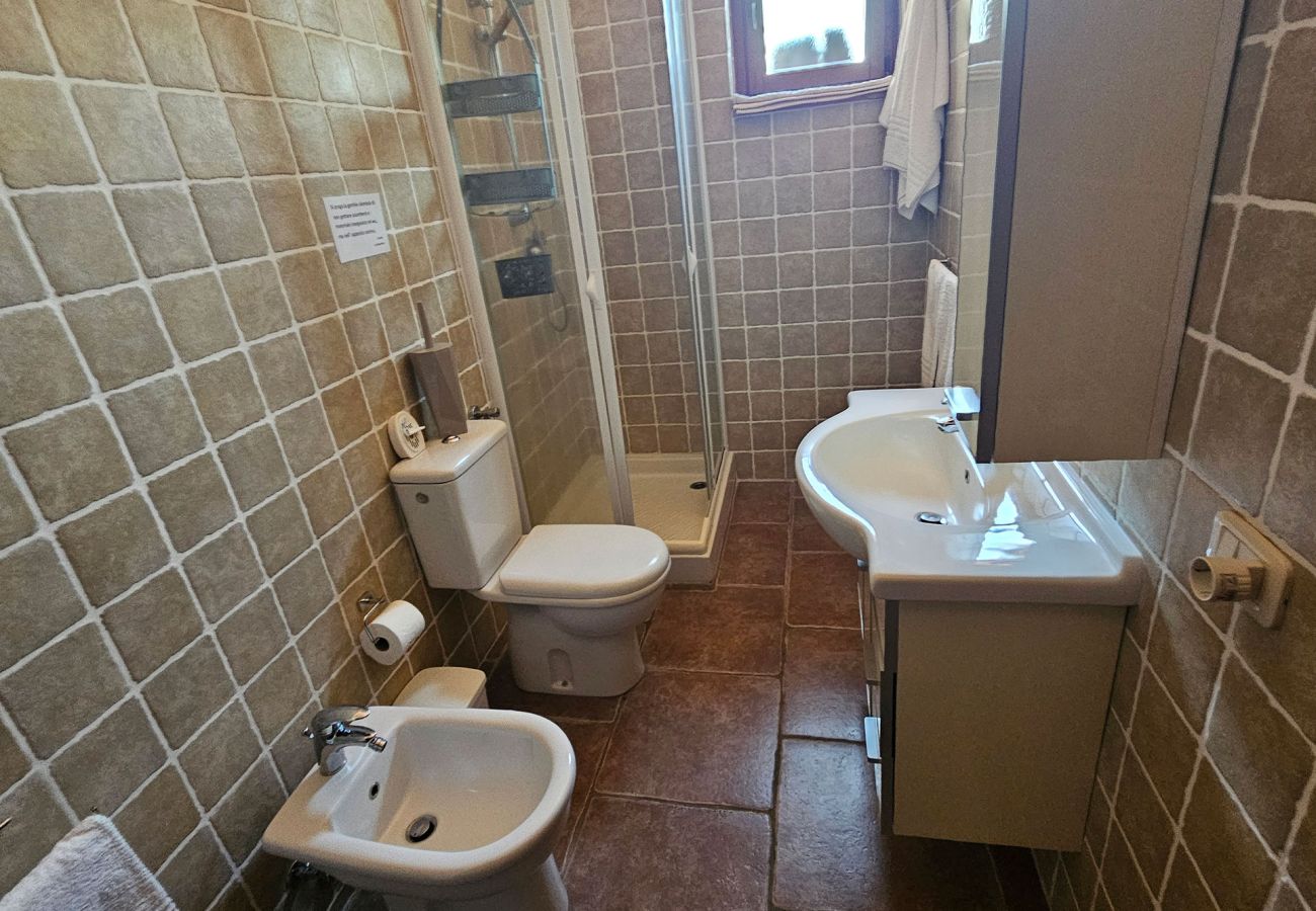 Ferienwohnung in Scansano - Wohnung Sicomoro, auf dem Land mit Pool