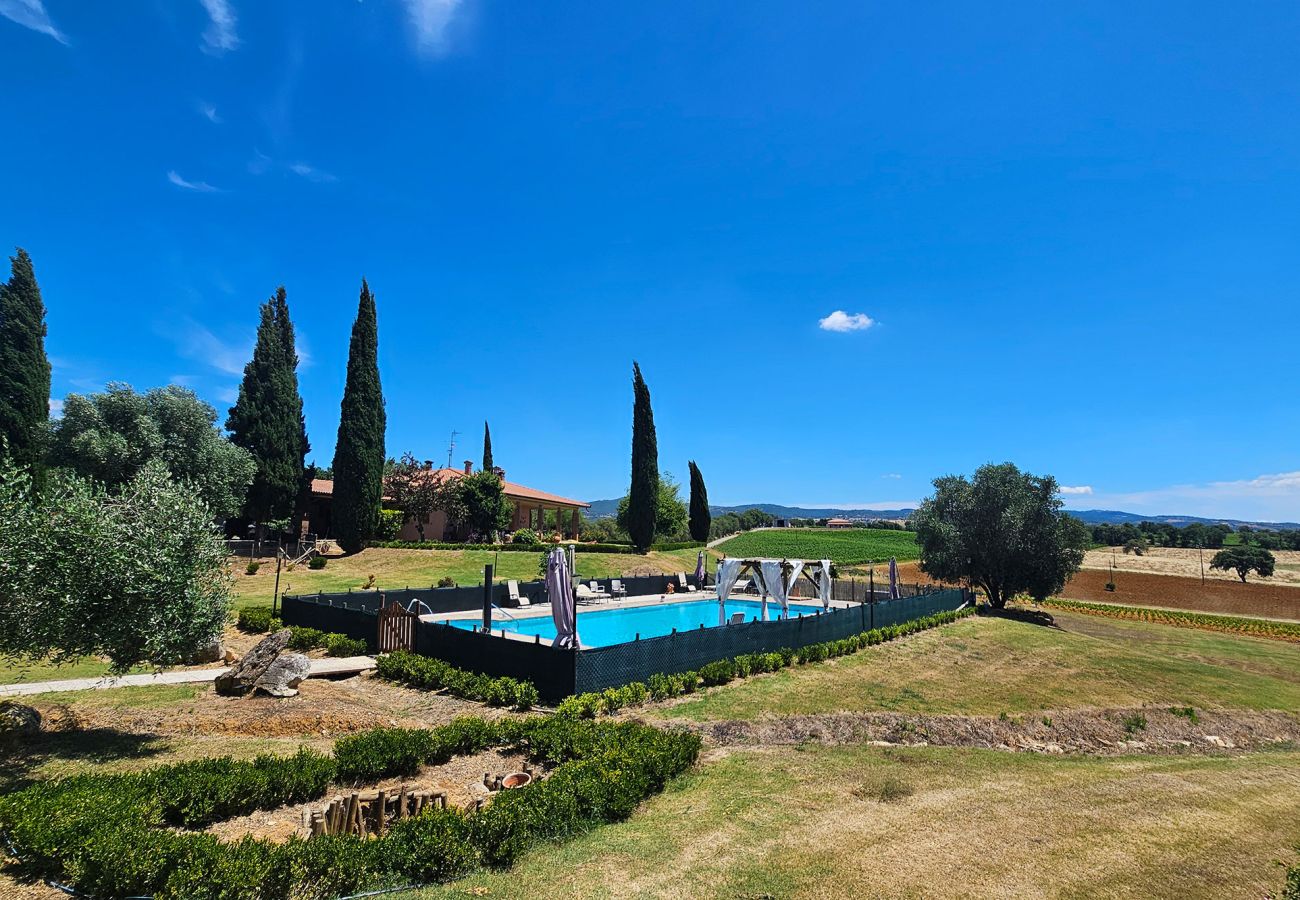 Ferienwohnung in Scansano - Wohnung Sicomoro, auf dem Land mit Pool