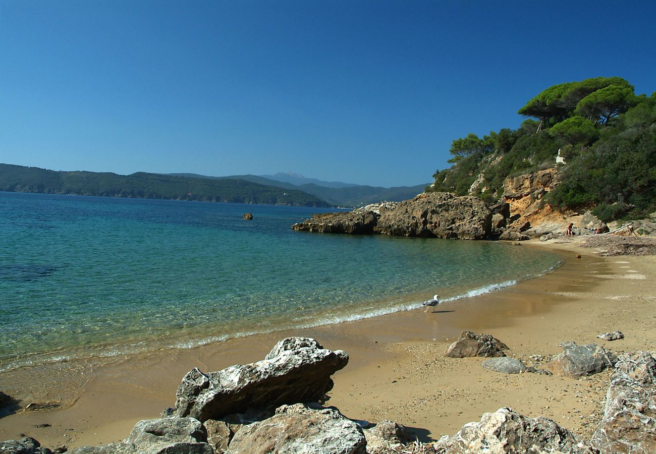 Chalet à Portoferraio - Le Grotte Cottage