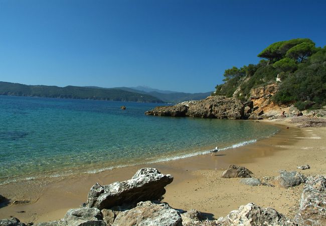Chalet à Marina di Campo - Villetta le Palme Isola d'Elba Chalet à Marina di Campo - Villetta le Palme Isola d'Elba