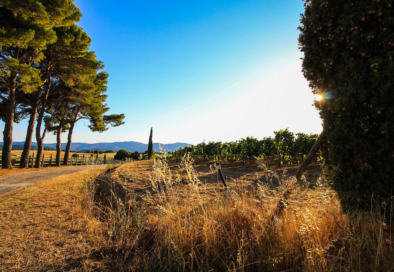 Maison à Magliano in Toscana - La Centurina