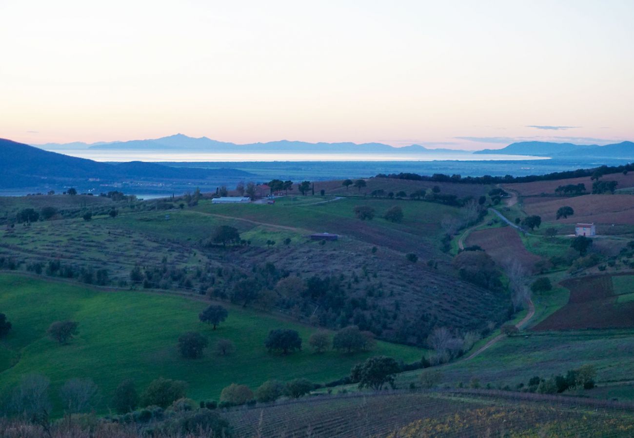 Maison à Magliano in Toscana - La Centurina