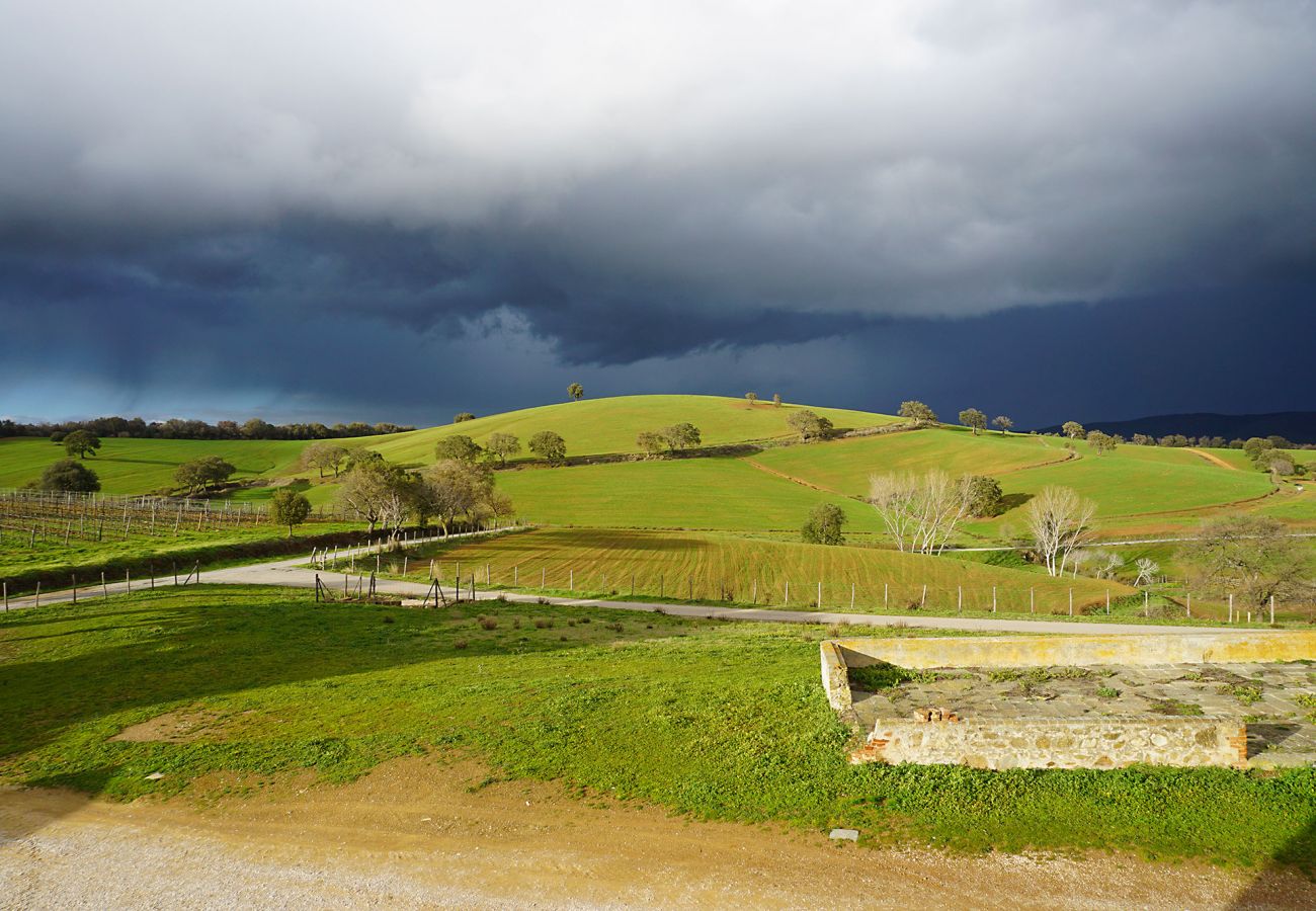 Maison à Magliano in Toscana - La Centurina