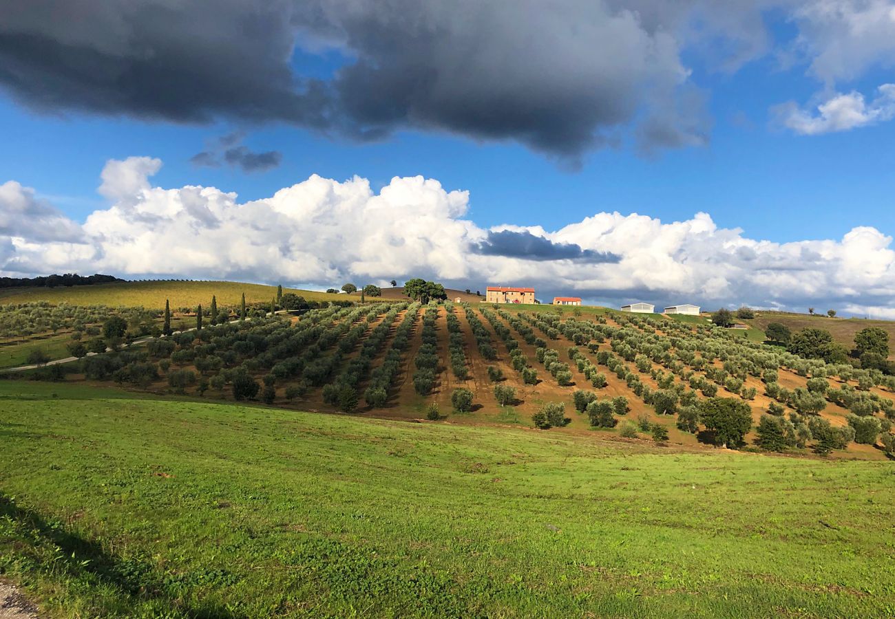Maison à Magliano in Toscana - La Centurina