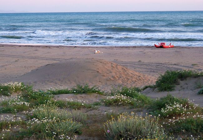 Plage de Marina di Grosseto