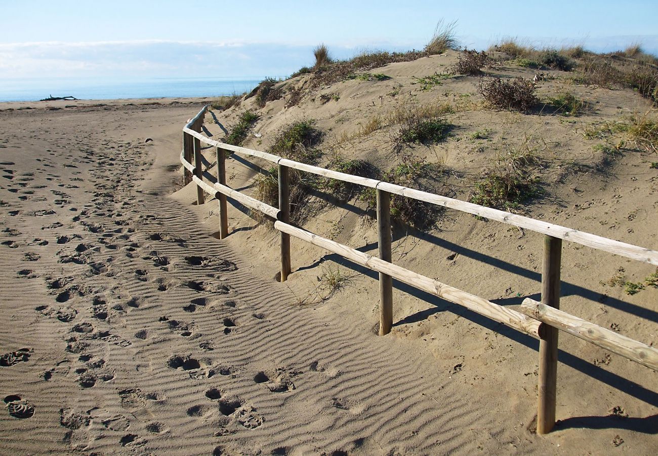 Les plages de sable de Maremma