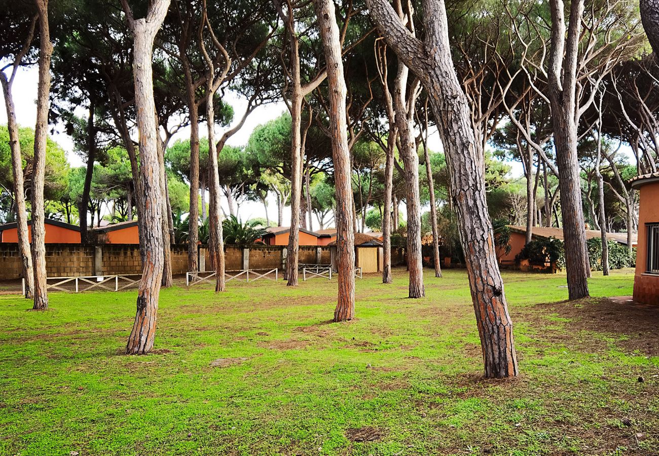 Jardin de l'appartement Germoglio - au bord de la mer en Toscane 