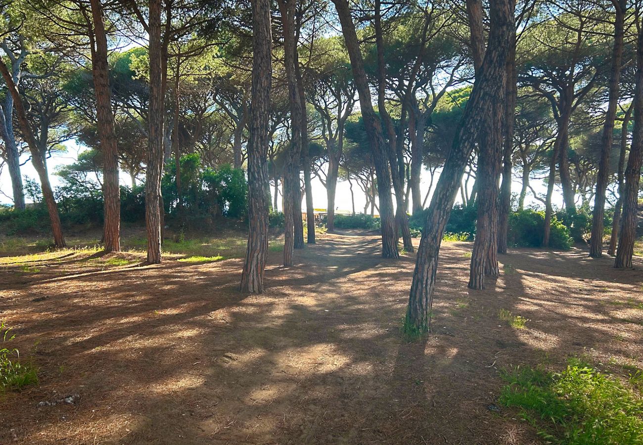 Appartement à Follonica - Appartamento Follonica 87