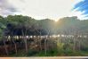 Appartement à Follonica - Appartamento Follonica 95 Appartement à Follonica - Appartamento Follonica 95