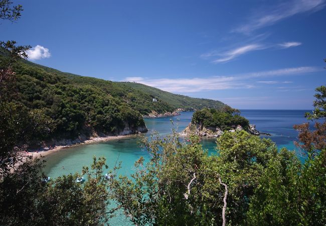 Villa à Procchio - Villa Ondina - Isola d'Elba