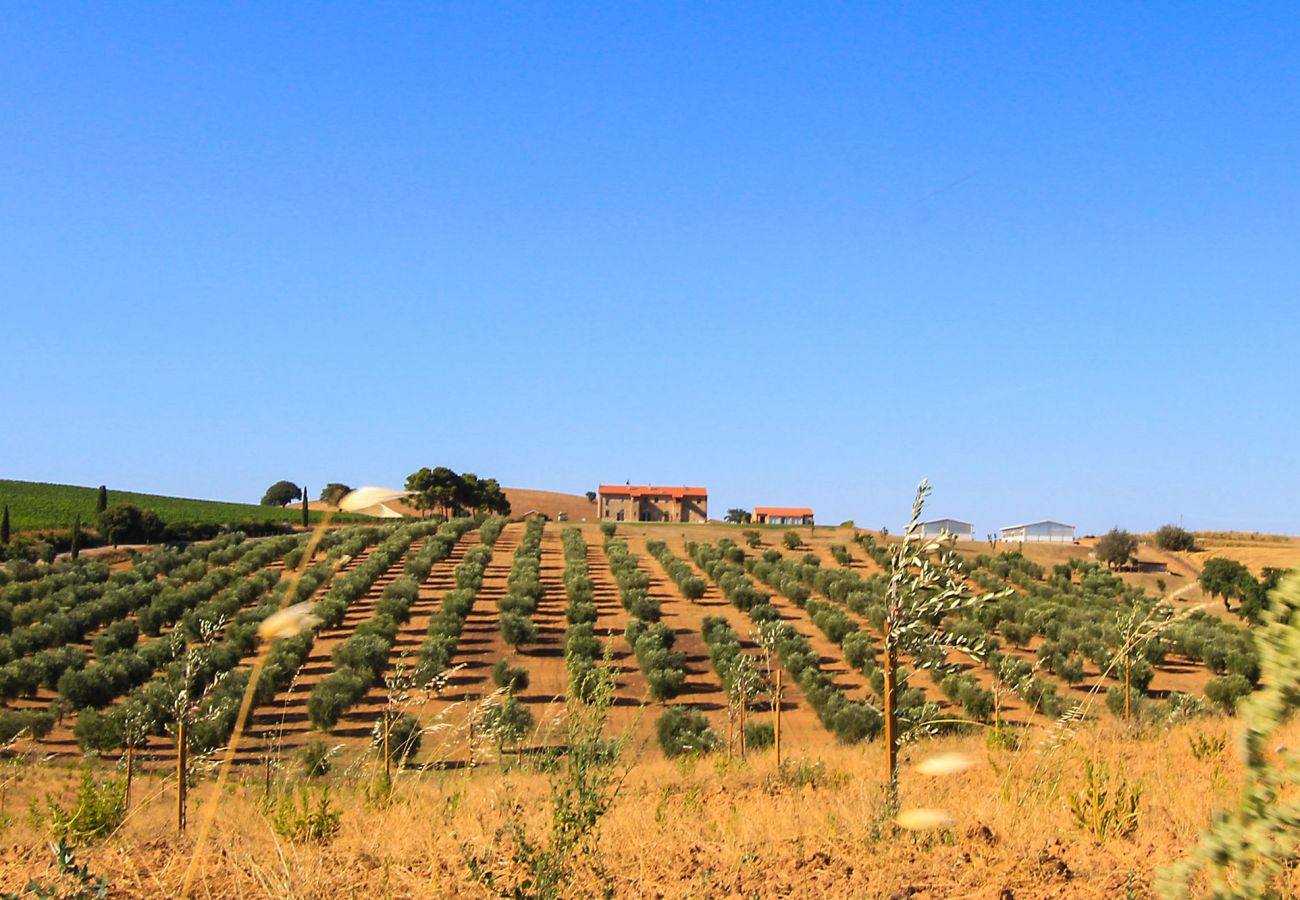 Maison à Magliano in Toscana - La Centurina avec vue panoramique