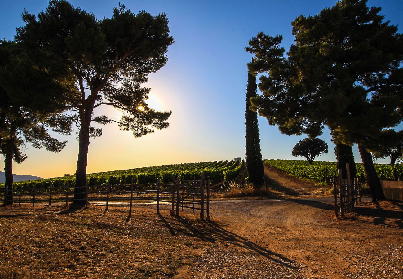 Maison à Magliano in Toscana - La Centurina avec vue panoramique