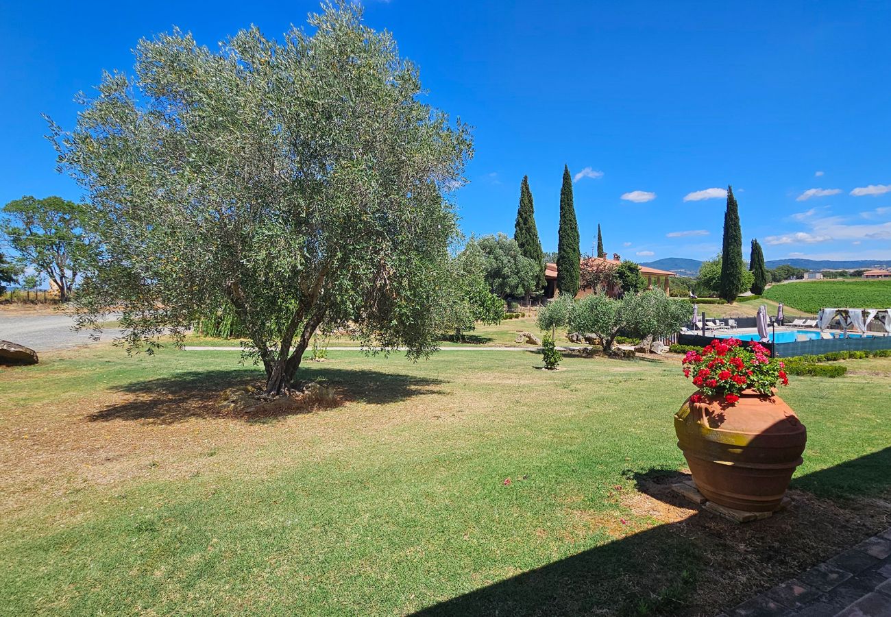 Appartement à Scansano - Appartement Benefizio, Piscine e Nature Toscane