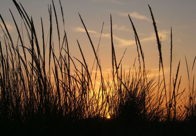 Appartamento a Marina di Grosseto - Appartamento Ancora al mare Appartamento a Marina di Grosseto - Appartamento Ancora al mare