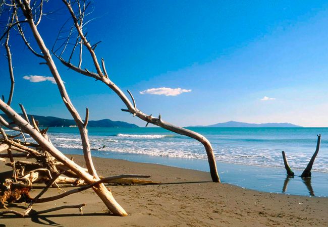 Appartamento a Marina di Grosseto - Appartamento Puccini Appartamento a Marina di Grosseto - Appartamento Puccini